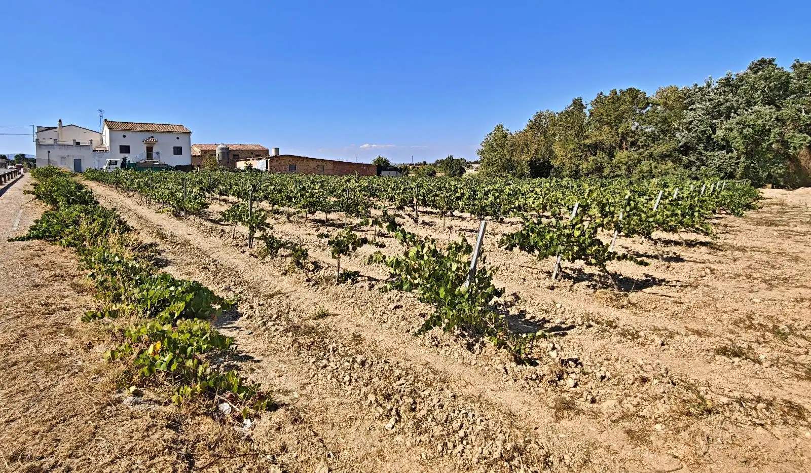 Casa o xalet en venda en Pacs del Penedès amb Calefacció, Terrassa i Traster