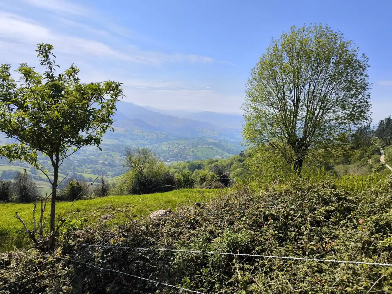 Maison à vendre à el cierro, imagen 5