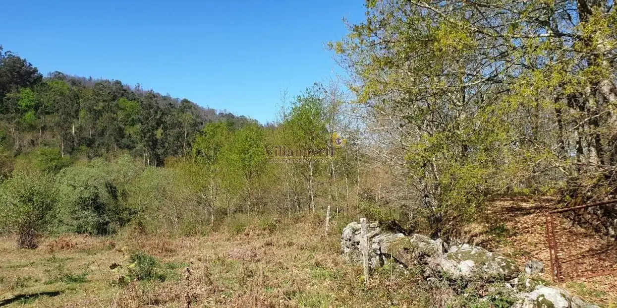 Lands and plots for sale in Mondariz, imagen 6