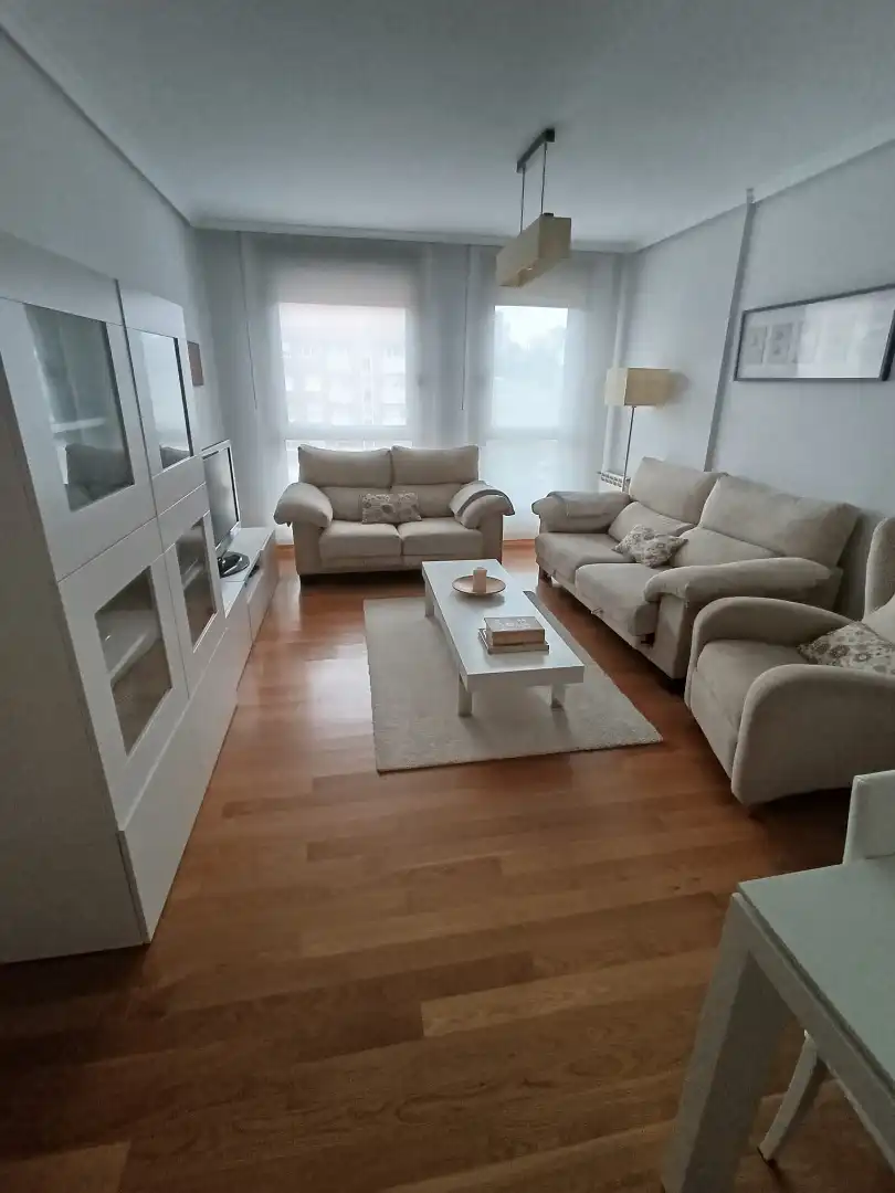 Living room of Flat for rent in Santander  with Heating, Storage room and Furnished