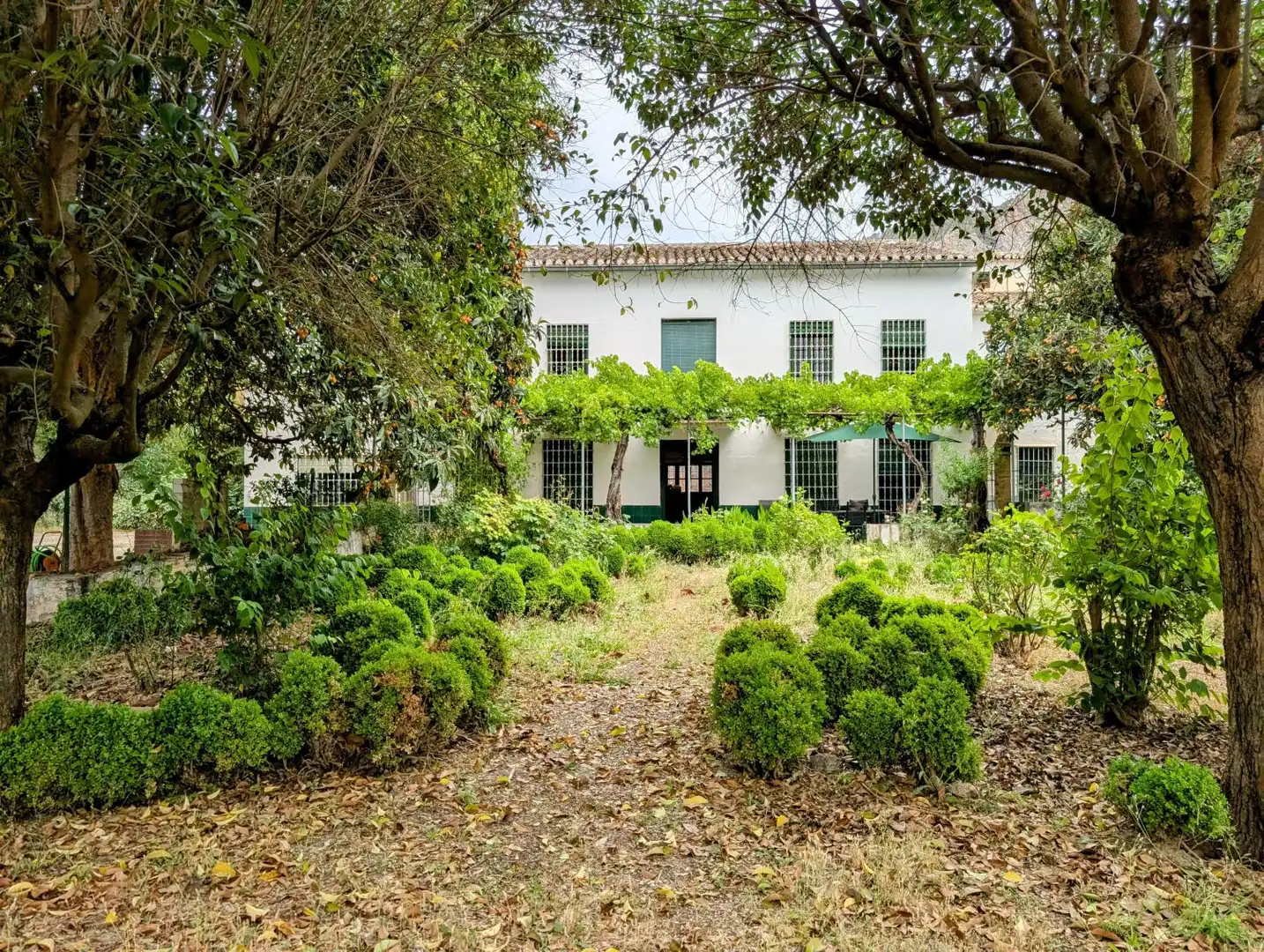 Jardí de Casa o xalet en venda en Loja amb Aire condicionat, Calefacció i Jardí privat
