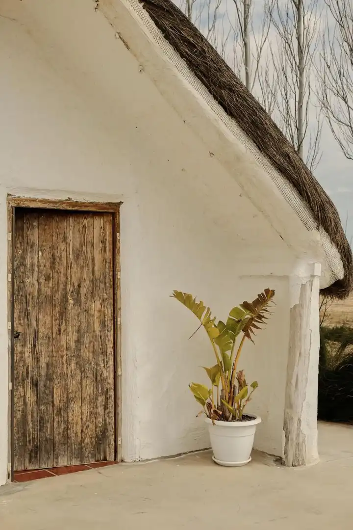 Landhaus zum Verkauf in Carlet, imagen 7