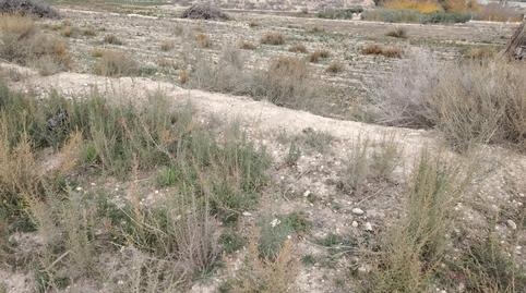 Foto 3 de Casa o chalet en venta en Novelda, Alicante