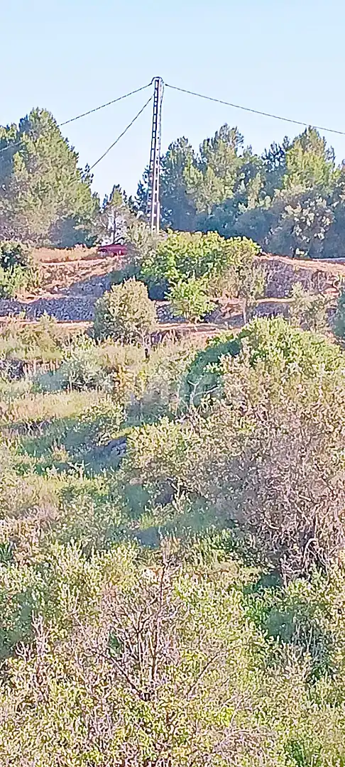 Terreny rústic en venda a Castell de Castells, imagen 12