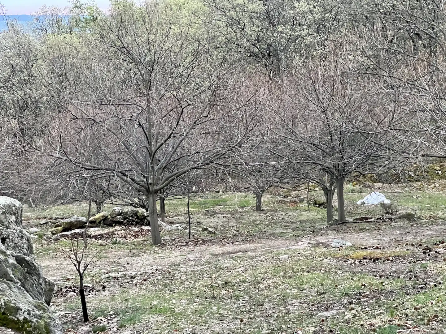Grundstücke zum Verkauf in Garganta la Olla