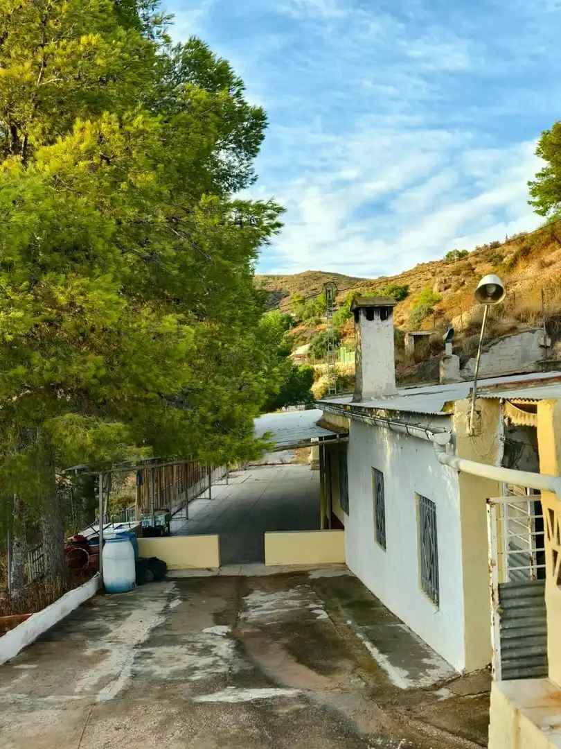 Casa rústica con jardín en venta en Crevillent, imagen 15