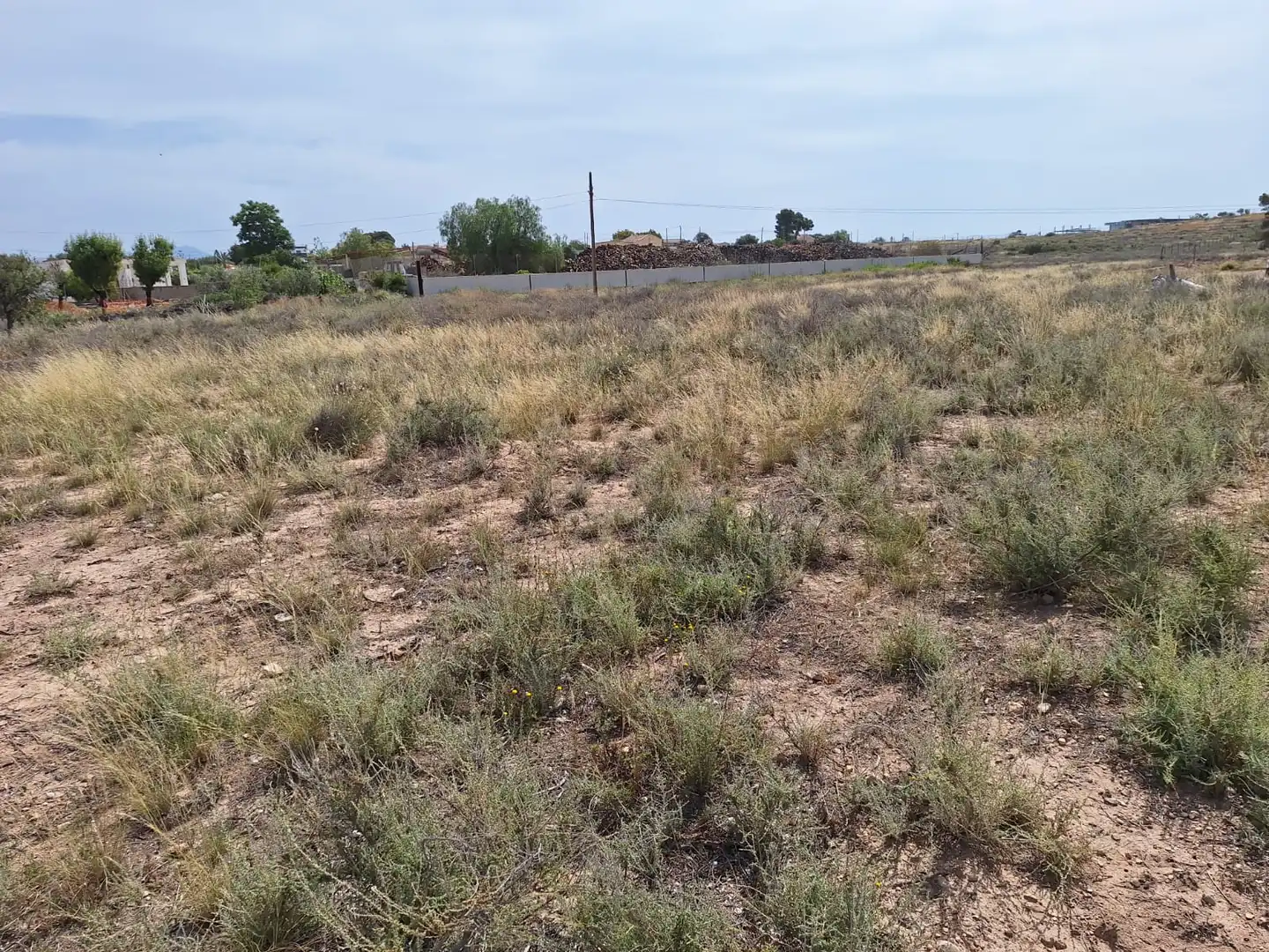 Terreny rústic en venda a Carretera Agost-Urbs 28B, imagen 6