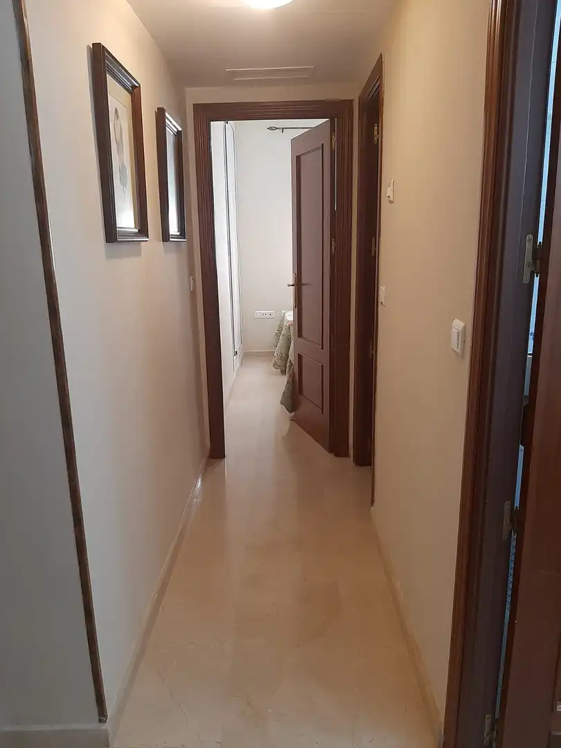 Apartments for rent in Centro