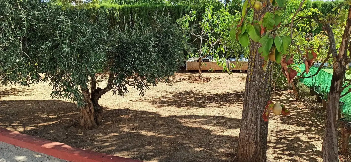 Xalet amb piscina en venda a Miguelturra, imagen 35