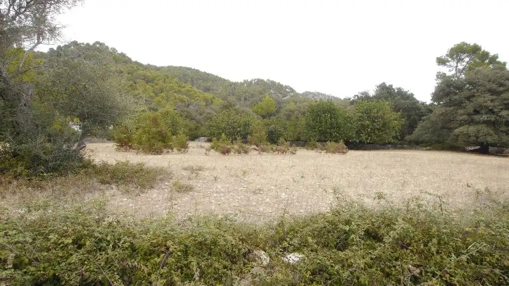 Finca rústica en venda en Pollença amb Jardí privat