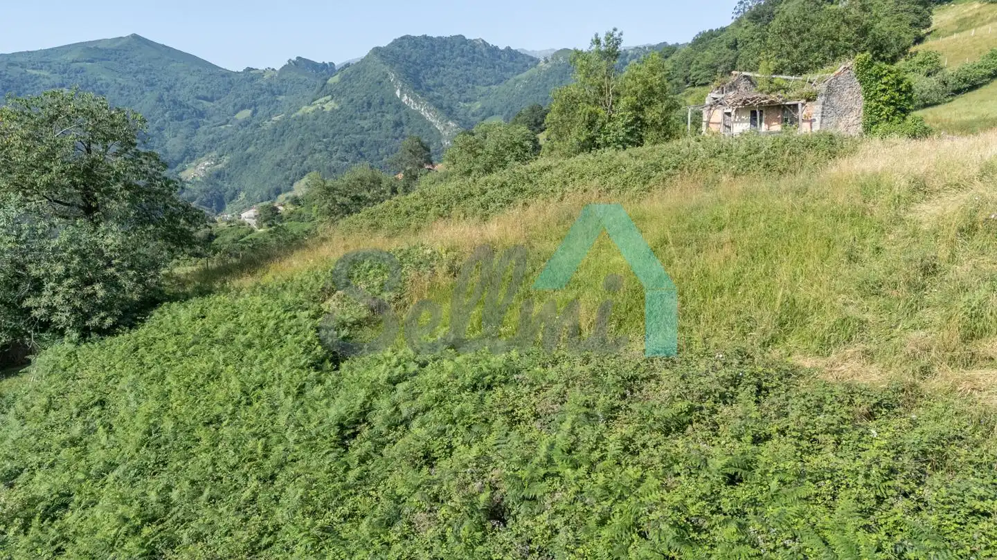 Casa o xalet en venda en Mieres (Asturias) amb Jardí privat i Terrassa