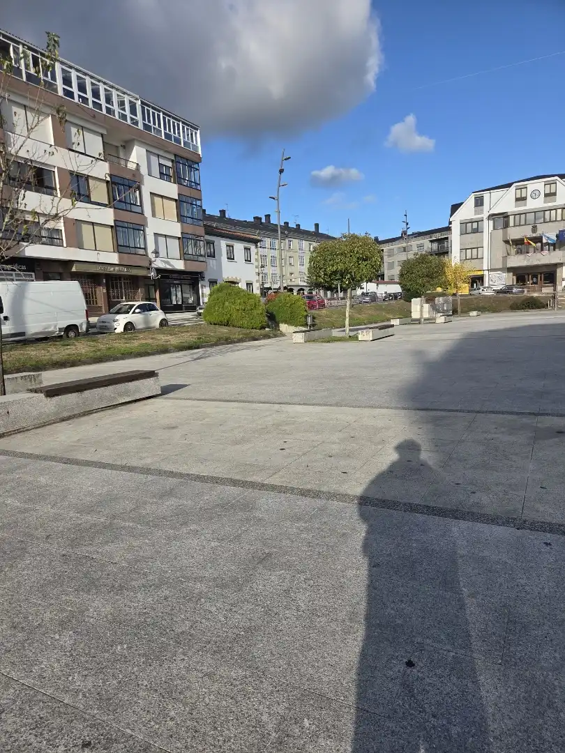 Exterior view of Attic for sale in Curtis, A Coruña