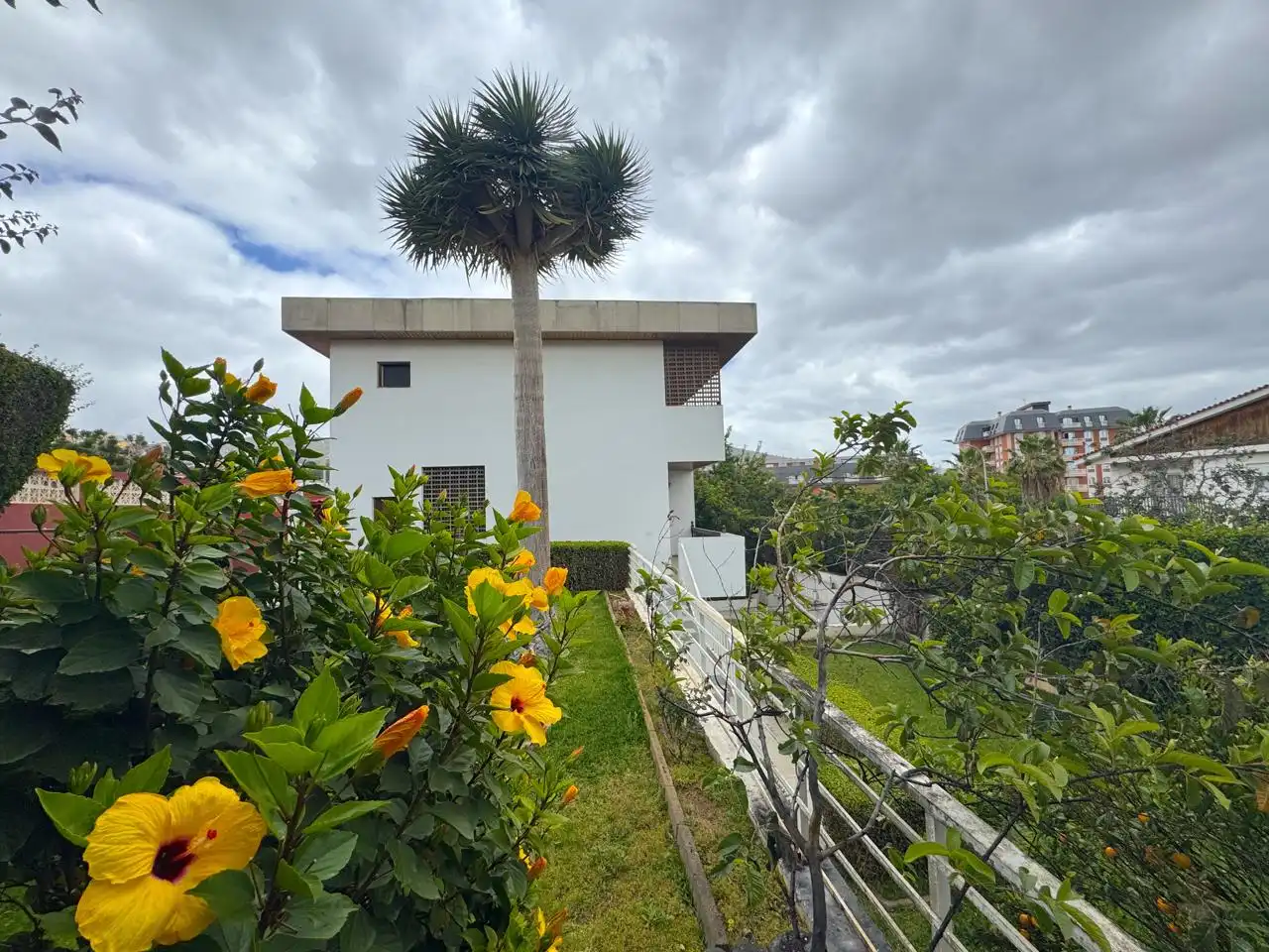 Exterior view of Houses for sale in  Santa Cruz de Tenerife Capital  with Private garden and Terrace