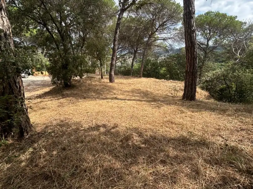 Terreno residencial en venta en Carrer del Solsones 19, imagen 7