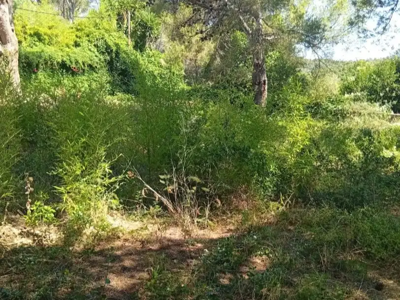 Residential for sale in Begur