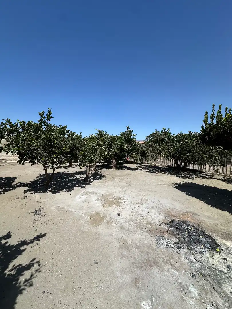 Casa o xalet en venda en Almería amb Jardí privat, Terrassa i Traster