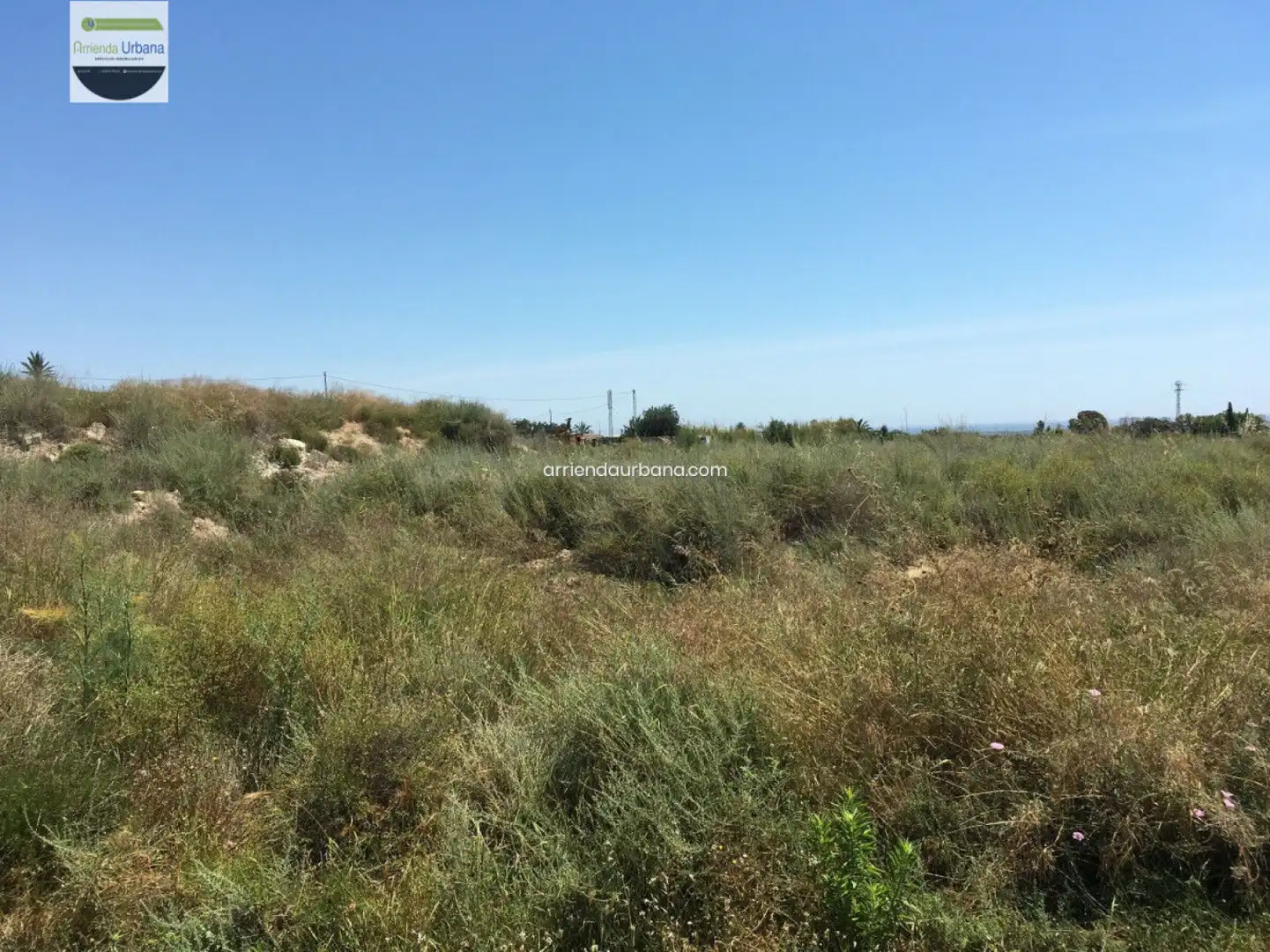 Grundstücke zur Miete in Elche - Carretera Carretera nacional, 340, Torrellano