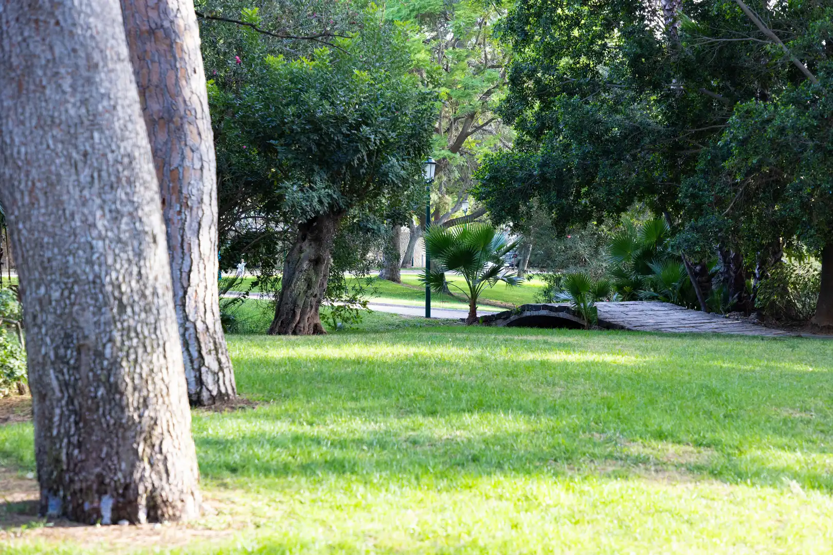Jardí de Casa adosada en venda en L'Eliana amb Aire condicionat, Terrassa i Alarma