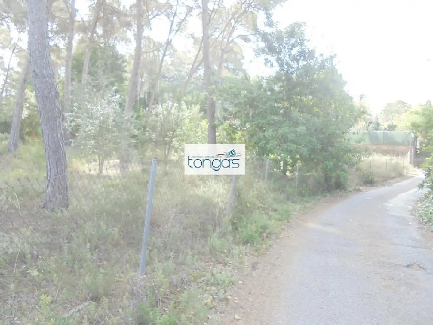 Terreno residencial en venta en El Genovés, imagen 12