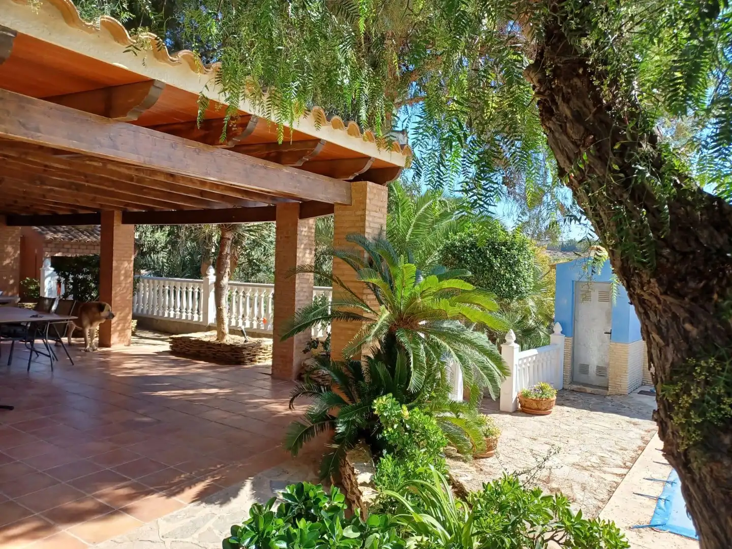 Garten von Haus oder Chalet zur Miete in Molina de Segura mit Heizung, Privatgarten und Terrasse