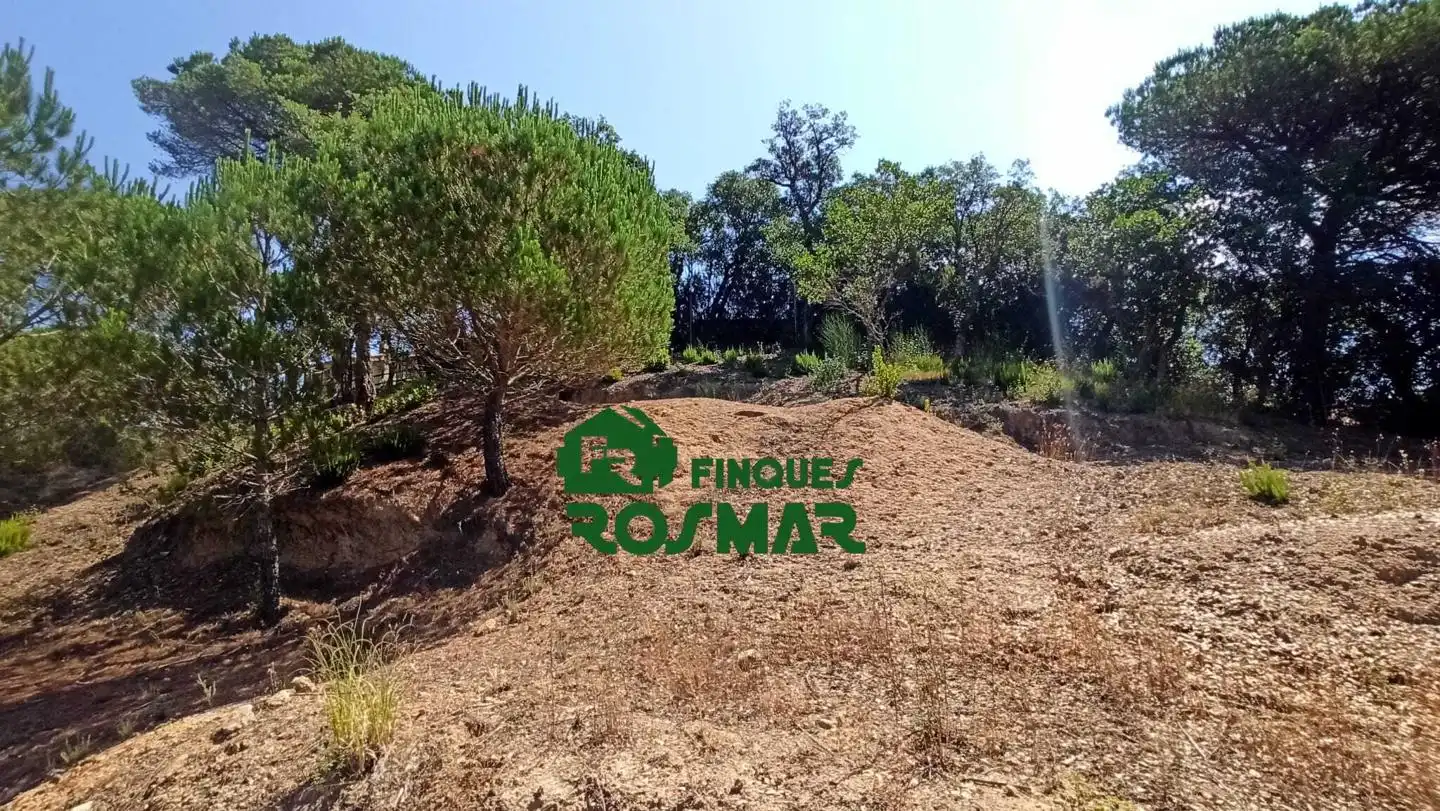 Terrenos y solares en venta en Aiguaviva Parc, imagen 27