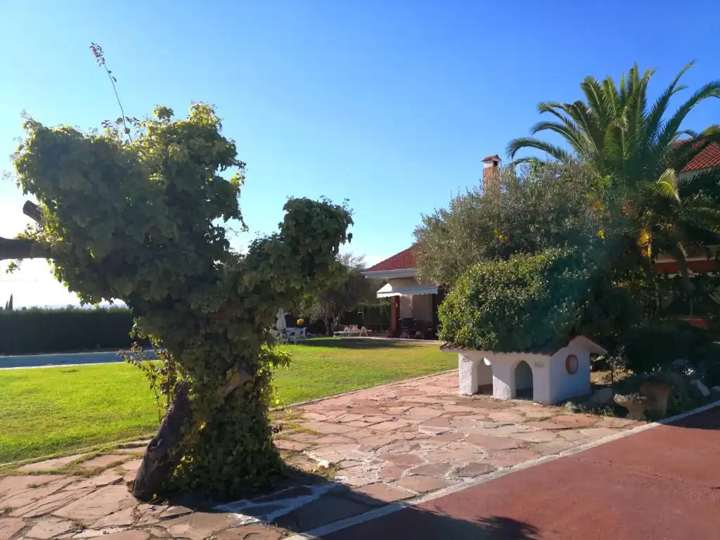 Jardí de Casa o xalet en venda en Las Rozas de Madrid
