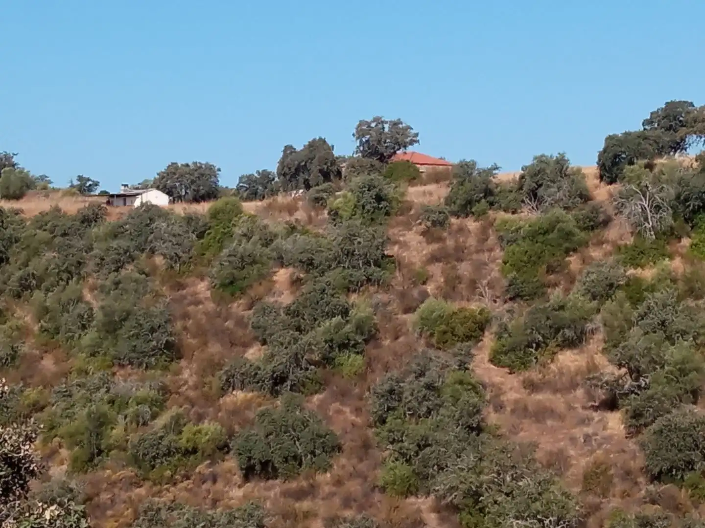 Terreno en venta en Córdoba