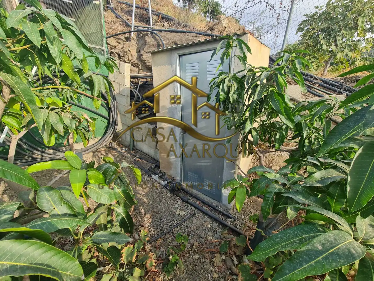 Finca rústica en venda en Vélez-Málaga amb Jardí privat, Terrassa i Piscina
