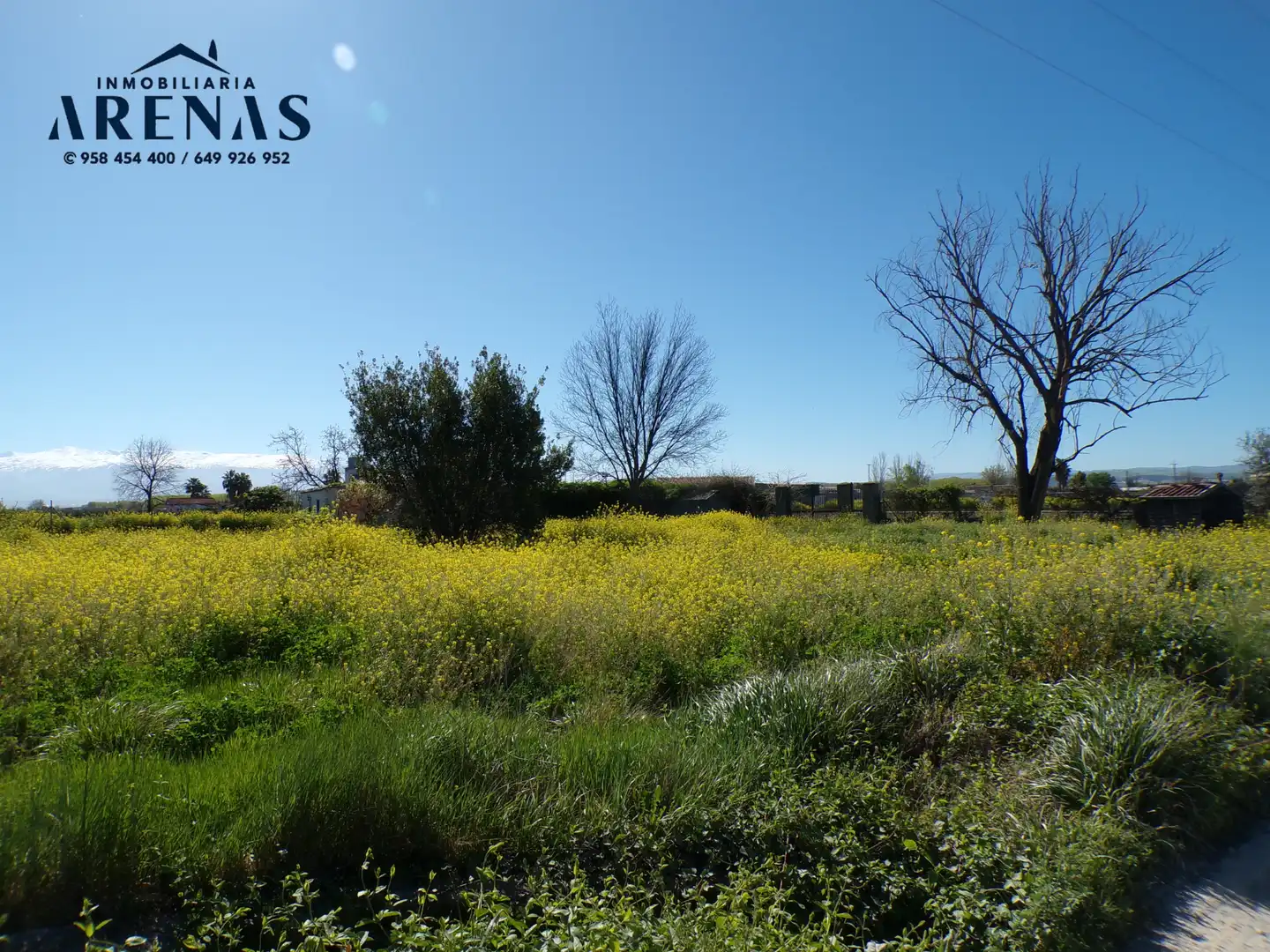 Terrains et parcelles à vendre à Calle Pedro Salinas, imagen 6