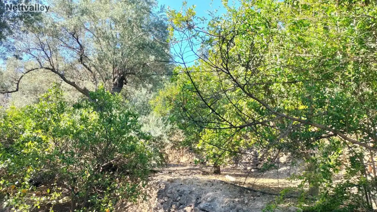 Terreni e lotti in vendita a LOMA DEL MEDIO, imagen 10