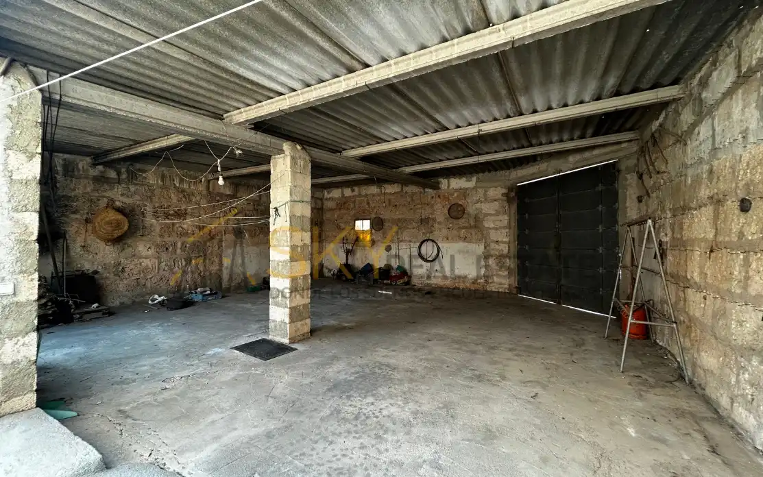 Casa o xalet en venda en Ariany amb Jardí privat, Terrassa i Traster