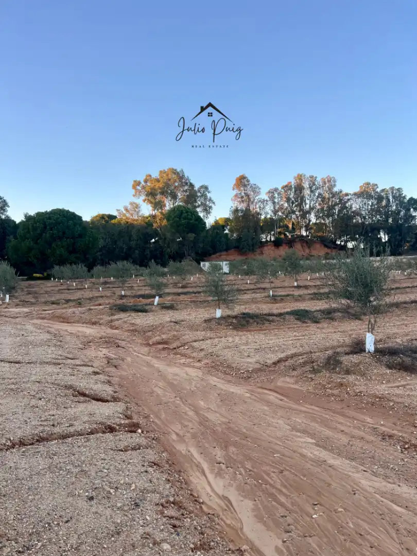 Terreni e lotti in vendita a La Puebla del Río, imagen 2