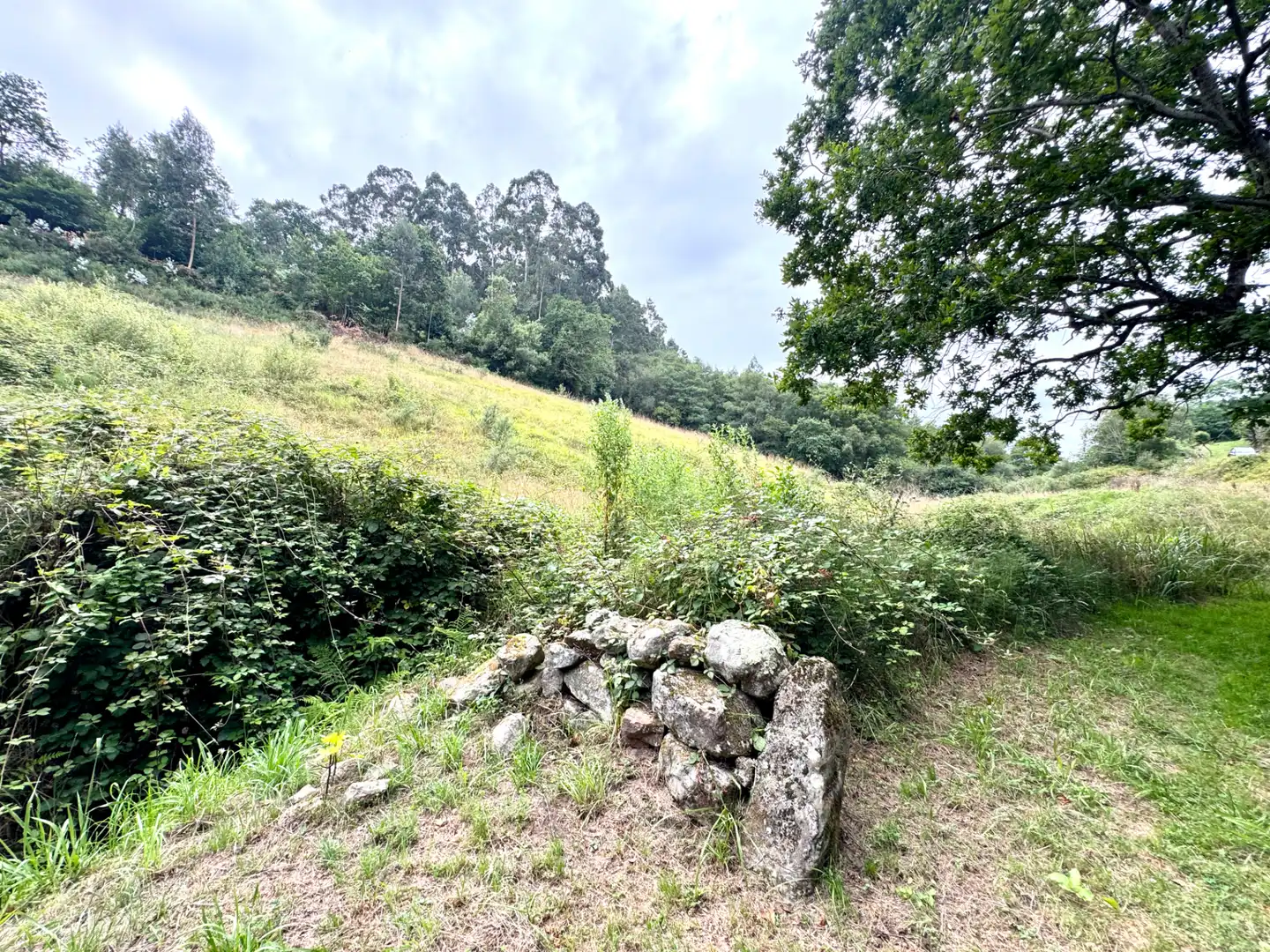 Terreno en venta en Villaviciosa