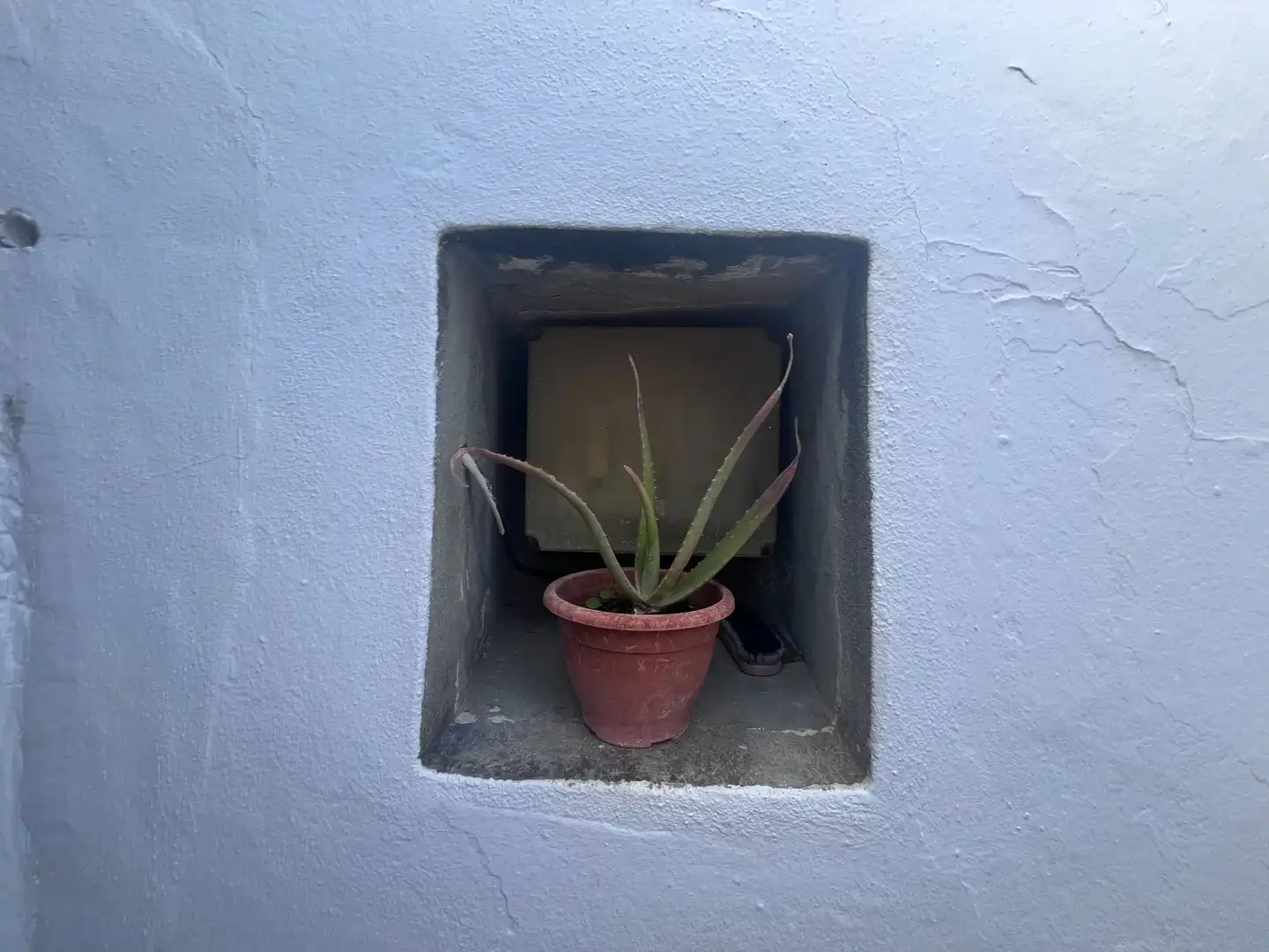 Vista exterior de Finca rústica en venta en Tarifa con Jardín privado y Trastero