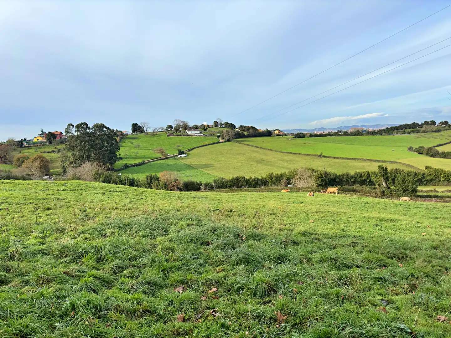 Terreno residenziale in vendita a Rural, imagen 18
