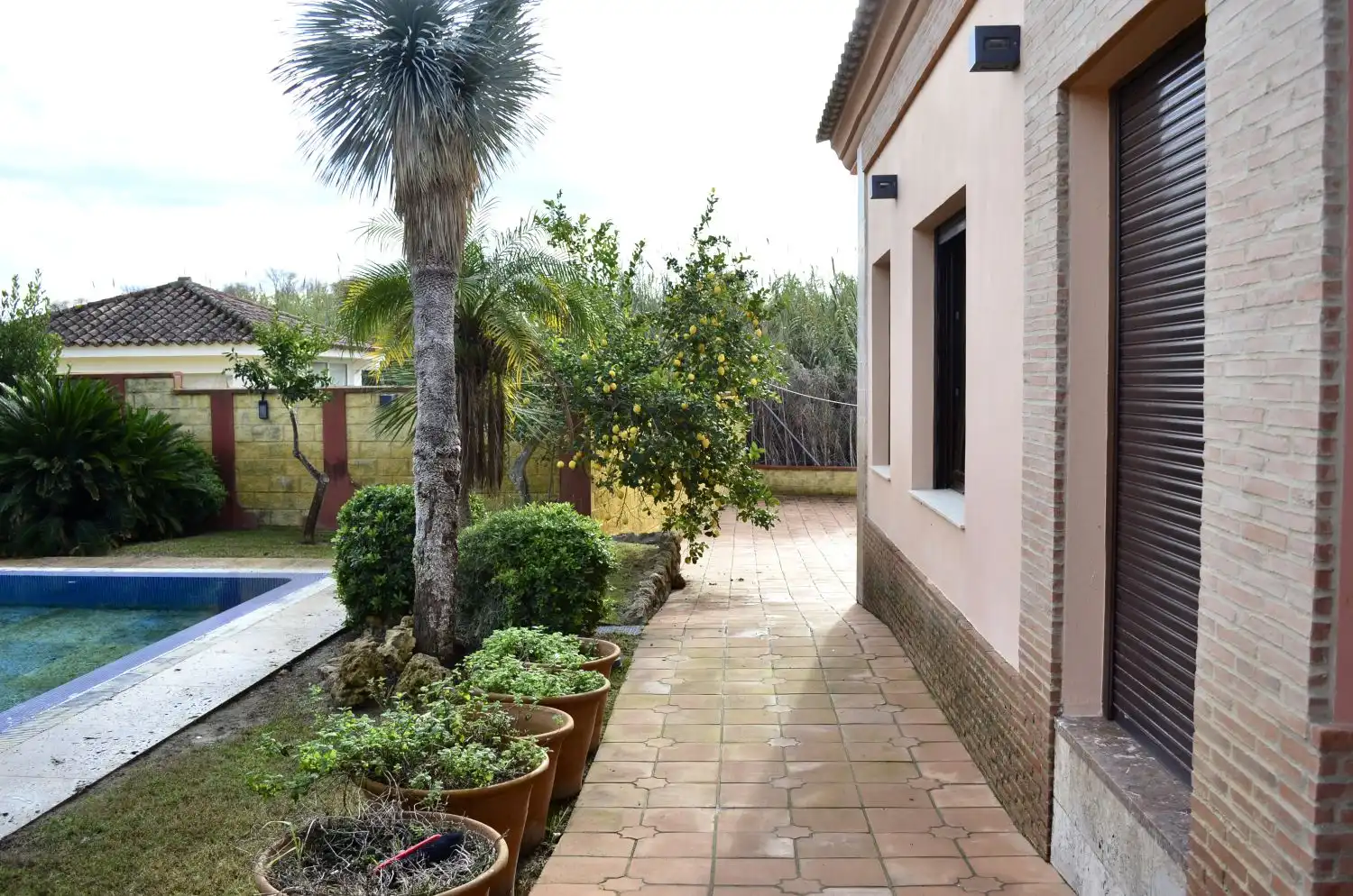 Garden of Houses for sale in Arcos de la Frontera  with Terrace