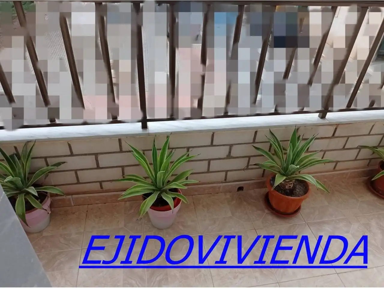 Maison à vendre à El Ejido Ciudad, imagen 7