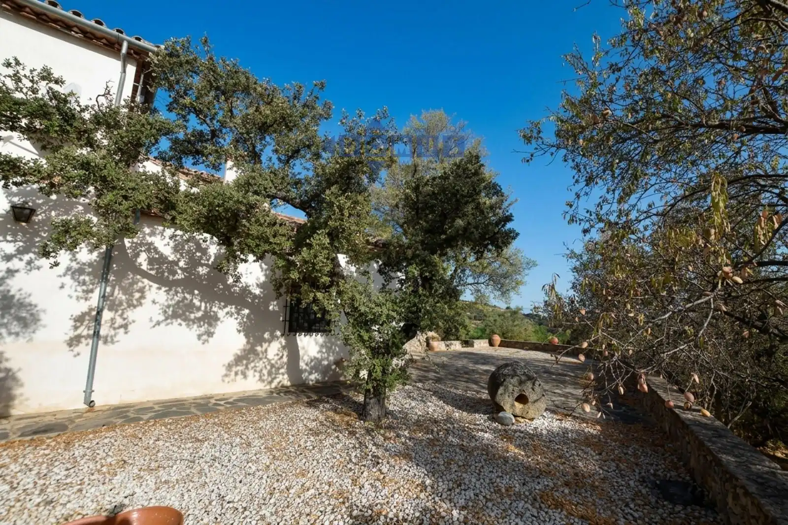 Jardín de Finca rústica en venta en Ronda con Calefacción, Jardín privado y Terraza
