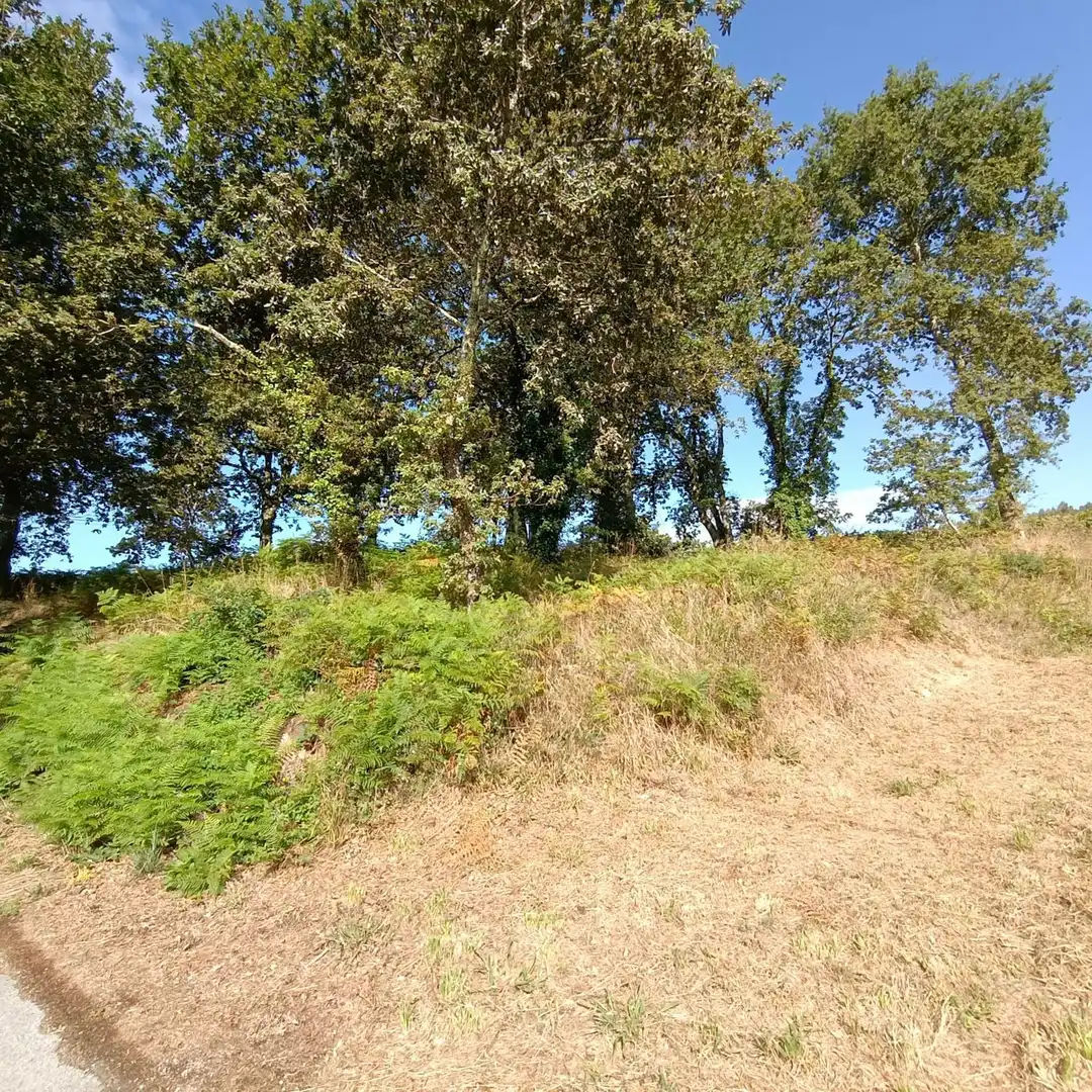 Residential zum Verkauf in Barro