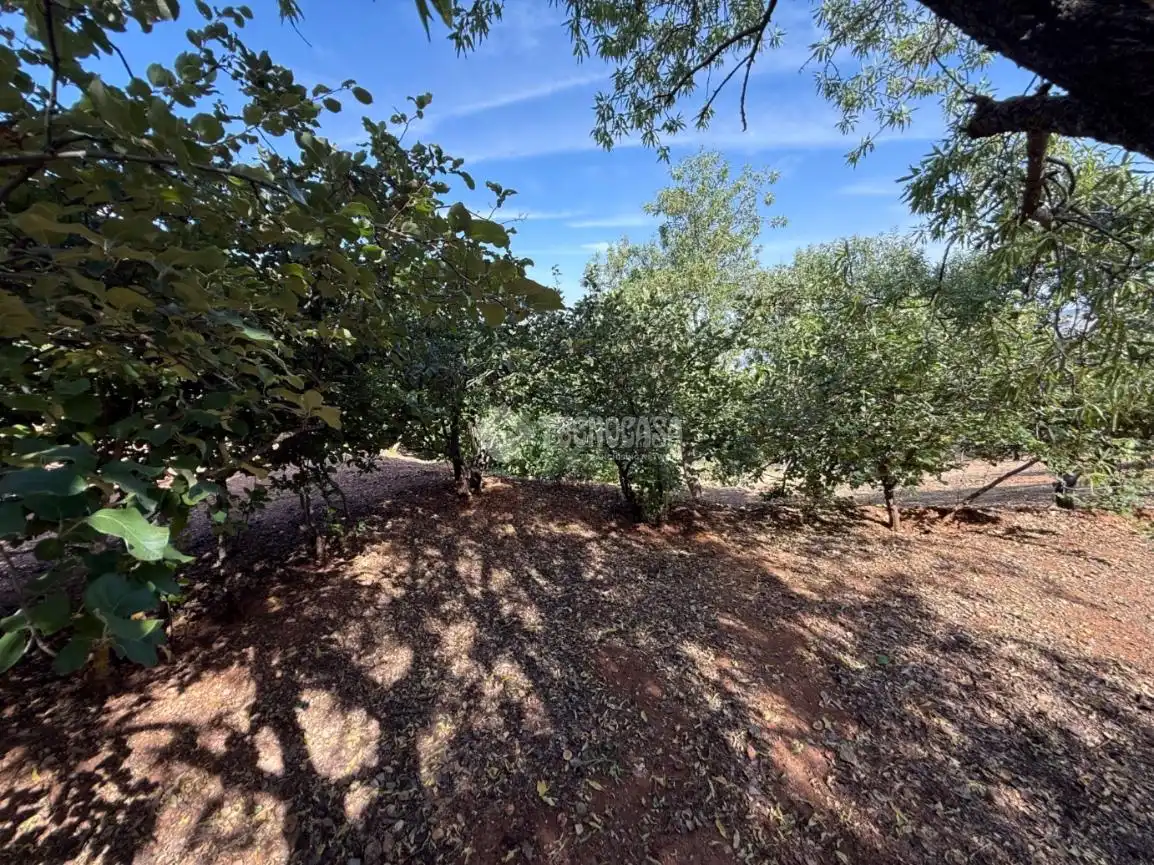 Finca rústica en venda en Jaén amb Jardí privat i Piscina