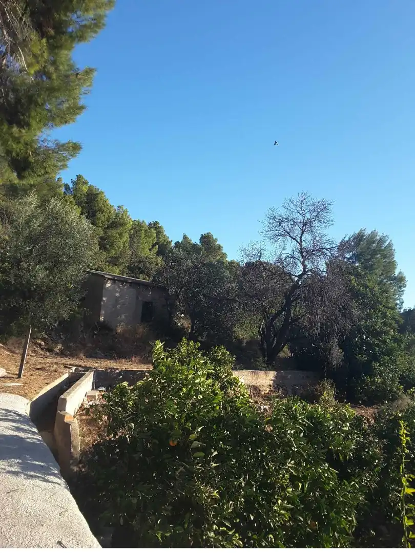 Finca rústica en venta en El Real de Gandia con Jardín privado, Terraza y Trastero