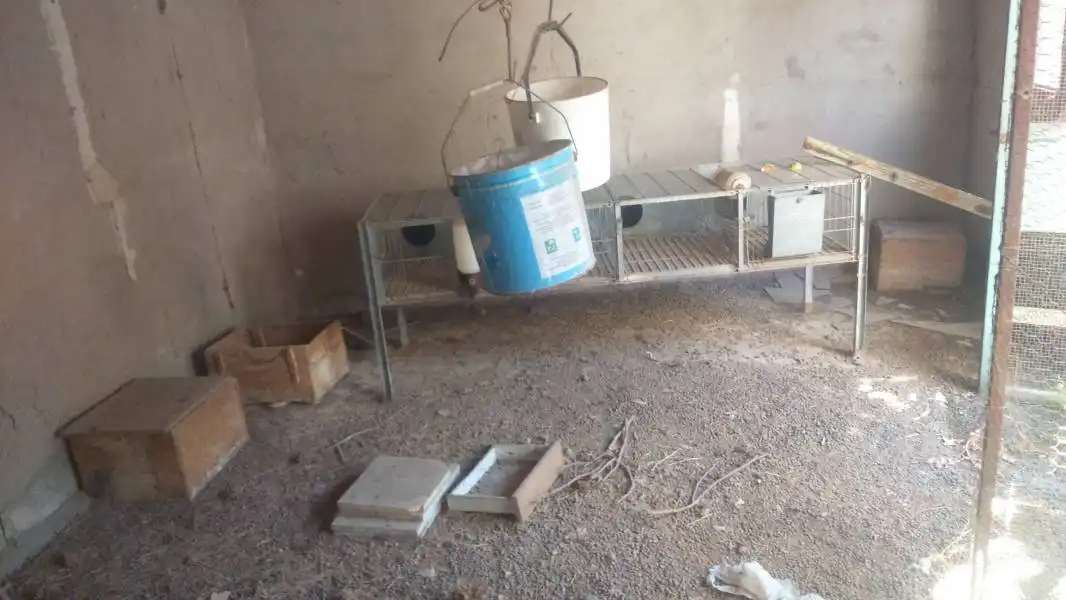 Casa rústica en venda a Algueña, imagen 25