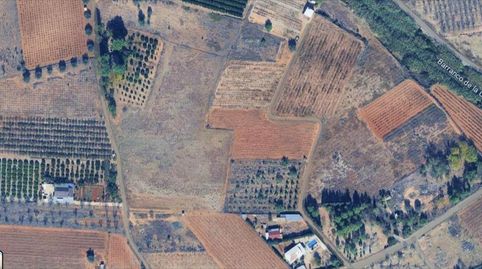 PARCELA RUSTICA CERCANA A CHESTE PUEBLO CON CASETA Y PAELLERO, immagine 5
