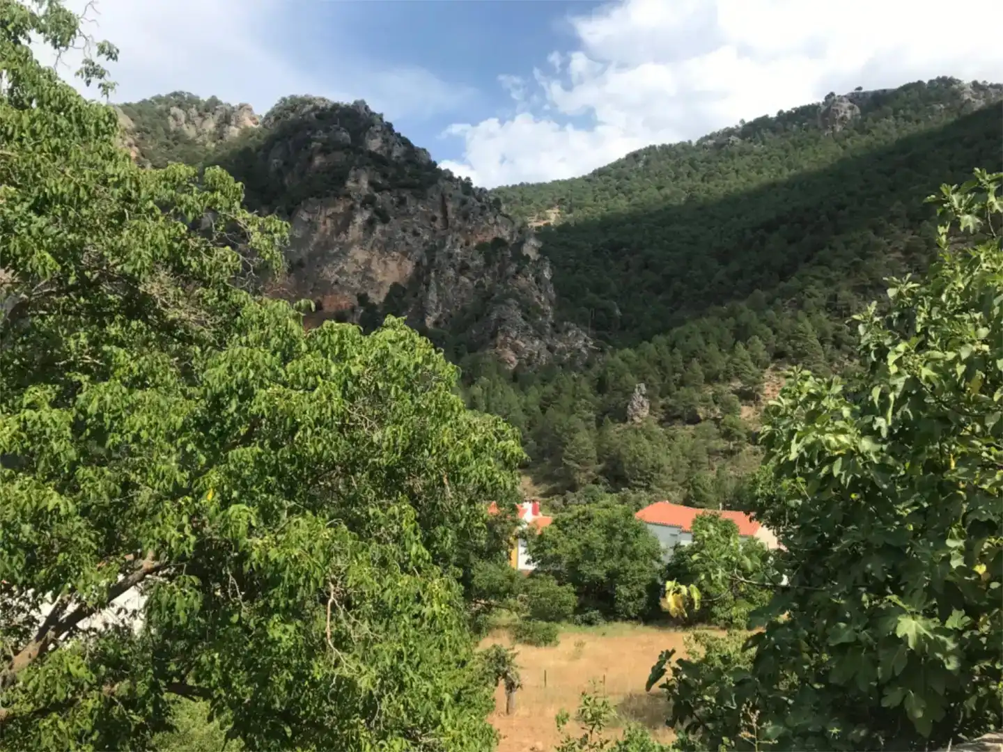 Jardín de Piso en venta en Paterna del Madera con Amueblado y Balcón