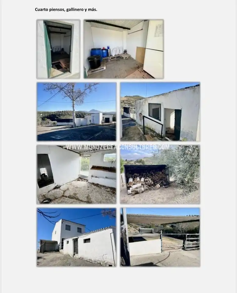 Vista exterior de Casa o xalet en venda en Lucena amb Aire condicionat, Jardí privat i Terrassa