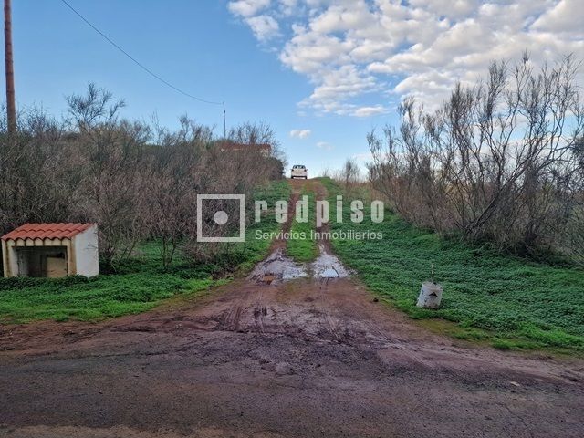 Casa o xalet en venda en El Rosario amb Terrassa i Traster