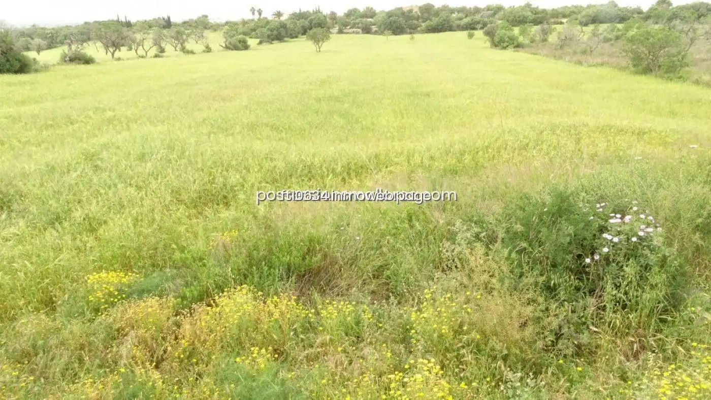 Terreno rustico in vendita a Llucmajor pueblo, imagen 17
