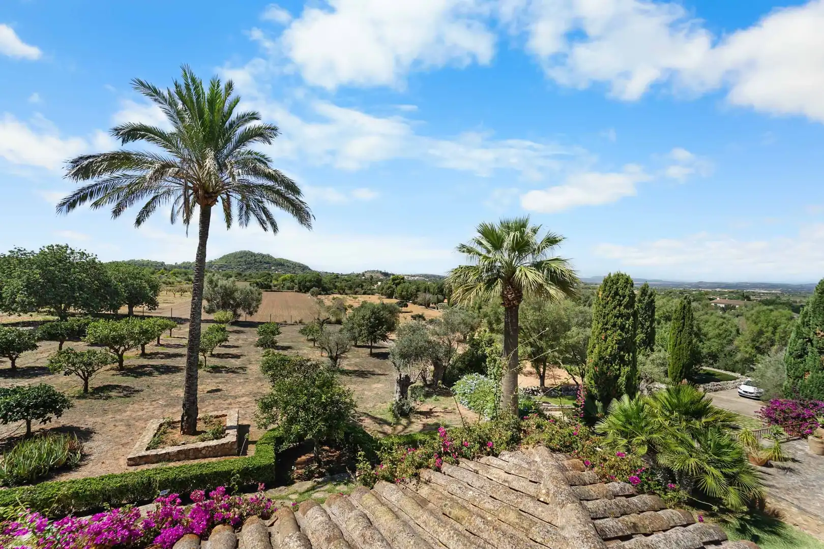 Casa rustica con terrazza in vendita a Felanitx Poble, imagen 45
