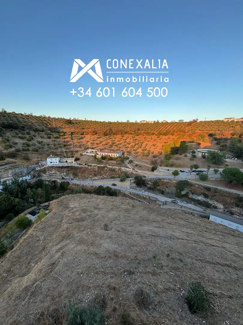 Appartement avec terrasse à vendre à Setenil de las Bodegas, imagen 35