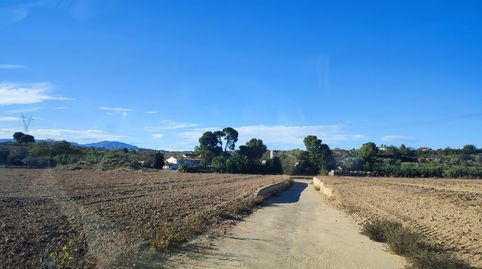 MASIA CON SUELO DE CULTIVO, NAVE Y VIVIENDA